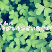 ヒメ日記 2025/10/12 18:23 投稿 しほ【人妻】 恵比寿コレクション　久留米本店