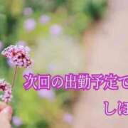 ヒメ日記 2025/10/20 18:51 投稿 しほ【人妻】 恵比寿コレクション　久留米本店