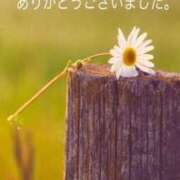 ヒメ日記 2025/11/01 21:23 投稿 しほ【人妻】 恵比寿コレクション　久留米本店