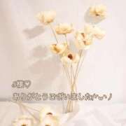 ヒメ日記 2025/11/01 21:43 投稿 しほ【人妻】 恵比寿コレクション　久留米本店