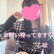 ヒメ日記 2025/11/02 12:43 投稿 しほ【人妻】 恵比寿コレクション　久留米本店