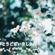 ヒメ日記 2025/11/02 21:13 投稿 しほ【人妻】 恵比寿コレクション　久留米本店