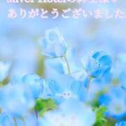 ヒメ日記 2025/11/03 22:13 投稿 しほ【人妻】 恵比寿コレクション　久留米本店