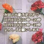 ヒメ日記 2025/11/04 20:03 投稿 しほ【人妻】 恵比寿コレクション　久留米本店