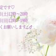 ヒメ日記 2025/11/07 18:04 投稿 しほ【人妻】 恵比寿コレクション　久留米本店