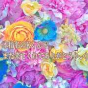 ヒメ日記 2025/11/09 17:33 投稿 しほ【人妻】 恵比寿コレクション　久留米本店