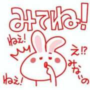 ヒメ日記 2025/11/14 08:03 投稿 しほ【人妻】 恵比寿コレクション　久留米本店