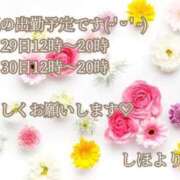 ヒメ日記 2025/11/25 12:03 投稿 しほ【人妻】 恵比寿コレクション　久留米本店