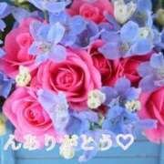 ヒメ日記 2025/11/29 15:33 投稿 しほ【人妻】 恵比寿コレクション　久留米本店