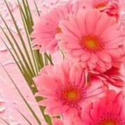 ヒメ日記 2025/11/29 21:13 投稿 しほ【人妻】 恵比寿コレクション　久留米本店