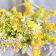 ヒメ日記 2025/11/30 16:23 投稿 しほ【人妻】 恵比寿コレクション　久留米本店