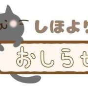 ヒメ日記 2025/11/30 21:13 投稿 しほ【人妻】 恵比寿コレクション　久留米本店