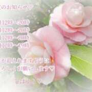 ヒメ日記 2025/12/26 15:53 投稿 しほ【人妻】 恵比寿コレクション　久留米本店