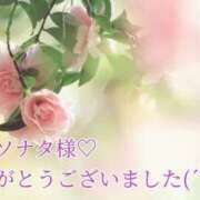 ヒメ日記 2025/12/27 16:53 投稿 しほ【人妻】 恵比寿コレクション　久留米本店