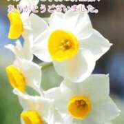 ヒメ日記 2025/12/28 21:13 投稿 しほ【人妻】 恵比寿コレクション　久留米本店