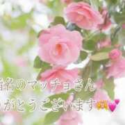 ヒメ日記 2025/12/28 22:23 投稿 しほ【人妻】 恵比寿コレクション　久留米本店