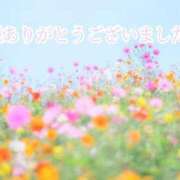 ヒメ日記 2025/12/29 20:03 投稿 しほ【人妻】 恵比寿コレクション　久留米本店