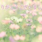 ヒメ日記 2026/01/03 20:13 投稿 しほ【人妻】 恵比寿コレクション　久留米本店