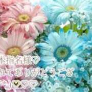 ヒメ日記 2026/01/04 21:45 投稿 しほ【人妻】 恵比寿コレクション　久留米本店