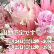 ヒメ日記 2026/01/19 17:13 投稿 しほ【人妻】 恵比寿コレクション　久留米本店