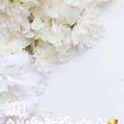 ヒメ日記 2026/01/25 14:15 投稿 しほ【人妻】 恵比寿コレクション　久留米本店