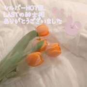 ヒメ日記 2026/01/25 23:19 投稿 しほ【人妻】 恵比寿コレクション　久留米本店