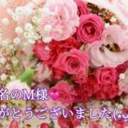 ヒメ日記 2026/01/31 22:03 投稿 しほ【人妻】 恵比寿コレクション　久留米本店