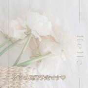 ヒメ日記 2026/02/01 12:19 投稿 しほ【人妻】 恵比寿コレクション　久留米本店