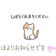 ヒメ日記 2026/02/08 14:53 投稿 しほ【人妻】 恵比寿コレクション　久留米本店
