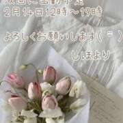 ヒメ日記 2026/02/11 16:53 投稿 しほ【人妻】 恵比寿コレクション　久留米本店