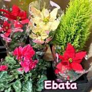 ヒメ日記 2025/11/06 15:16 投稿 江端(えばた) 熟女出逢い会『百合の園』目黒店