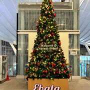 ヒメ日記 2025/11/09 07:38 投稿 江端(えばた) 熟女出逢い会『百合の園』目黒店