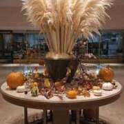 ヒメ日記 2025/10/18 10:07 投稿 ななえ 人妻小旅行