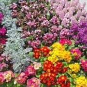 ななえ こんにちは 人妻小旅行