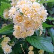 ヒメ日記 2026/04/18 09:35 投稿 ななえ 人妻小旅行