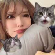 乱橋 🩵今週の出勤予定🩵 新宿人妻城