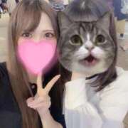 ヒメ日記 2025/12/07 13:29 投稿 乱橋 新宿人妻城