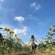 ヒメ日記 2025/10/07 09:51 投稿 にこ 素人妻御奉仕倶楽部Hip's取手店