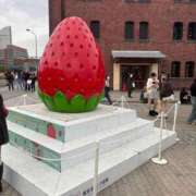 ヒメ日記 2026/02/28 07:42 投稿 ふゆか 横浜・関内サンキュー