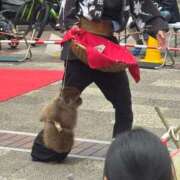 ヒメ日記 2026/05/08 18:52 投稿 ふゆか 横浜・関内サンキュー