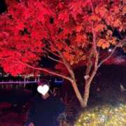 ヒメ日記 2025/12/09 12:31 投稿 えみ 隙のあるエステ