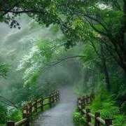 葛西なつめ ☔ アラフォーna奥様 アラフィフna奥様（埼玉ハレ系）