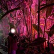 ヒメ日記 2025/11/24 23:38 投稿 日高 理世 Canx2京都店