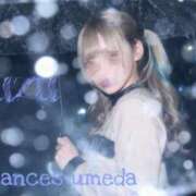 ヒメ日記 2026/03/03 01:14 投稿 すず 密着指導！バカンス学園 尼崎校