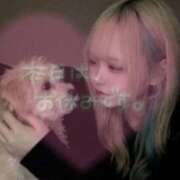 ヒメ日記 2026/03/11 22:33 投稿 すず 密着指導！バカンス学園 尼崎校