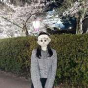 ヒメ日記 2025/10/08 14:00 投稿 ひなの 京都出張メンズエステChou Chou（シュシュ)