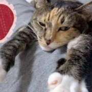 ヒメ日記 2025/10/23 10:10 投稿 コウ 神戸痴女性感フェチ倶楽部