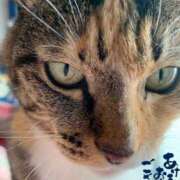 ヒメ日記 2026/01/04 09:01 投稿 コウ 神戸痴女性感フェチ倶楽部