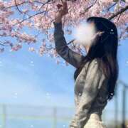 ヒメ日記 2026/04/06 06:20 投稿 ゆい 神戸痴女性感フェチ倶楽部