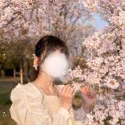 ヒメ日記 2026/04/19 06:20 投稿 ゆい 神戸痴女性感フェチ倶楽部